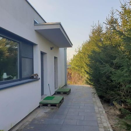 שרודה וילקופולסקה Maly Apartament W Zieleni Blisko Jeziora מראה חיצוני תמונה