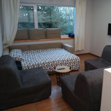 שרודה וילקופולסקה Maly Apartament W Zieleni Blisko Jeziora מראה חיצוני תמונה
